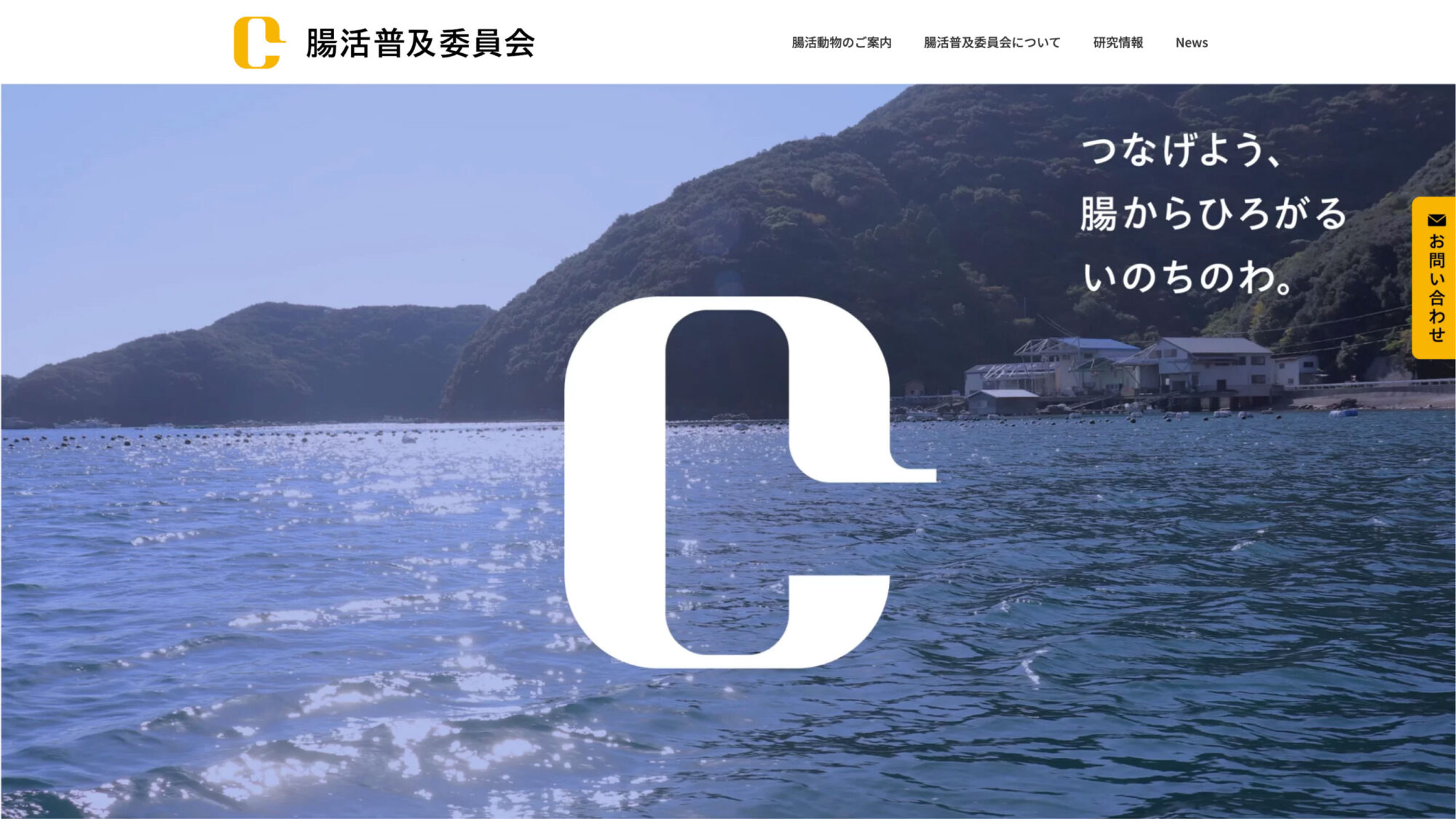 腸活普及委員会　サイト実績