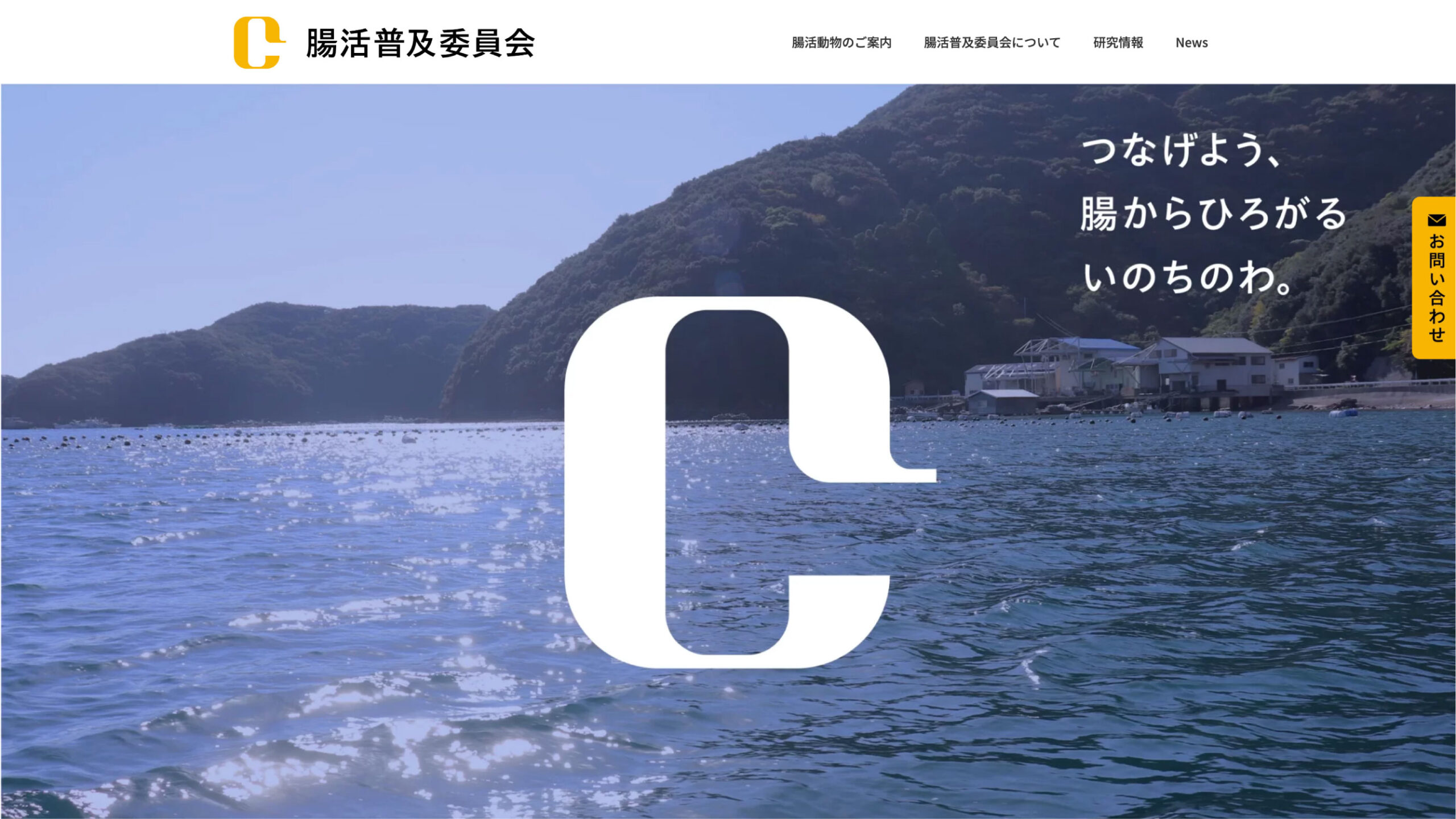 腸活普及委員会　サイト実績